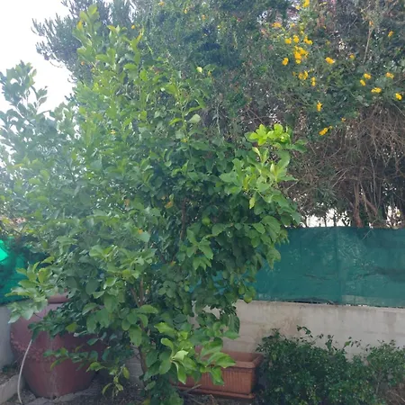 Holiday home La Rocca Sul Mare
